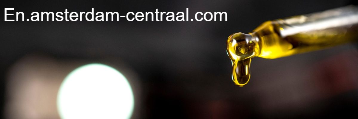 en.amsterdam-centraal.com